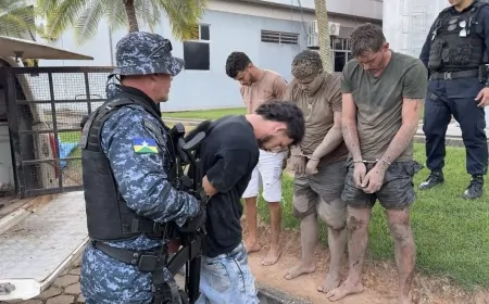Polícia apreende mais de 250 tabletes de maconha durante operação contra facção criminosa