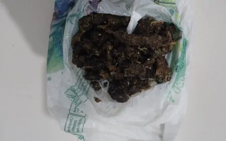 Polícia Militar apreende cerca de 50 gramas de maconha durante abordagem no bairro Nova Ouro Preto