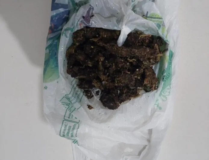 Polícia Militar apreende cerca de 50 gramas de maconha durante abordagem no bairro Nova Ouro Preto