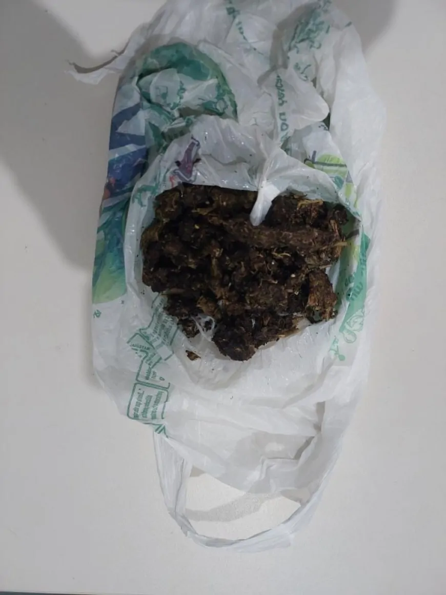 Polícia Militar apreende cerca de 50 gramas de maconha durante abordagem no bairro Nova Ouro Preto