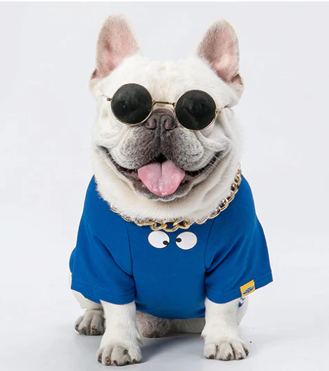 6617f1979758a.png
