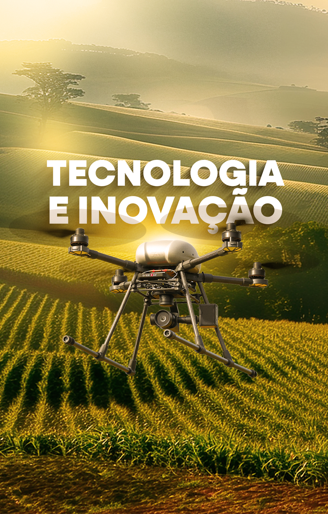 imagem de apresentação