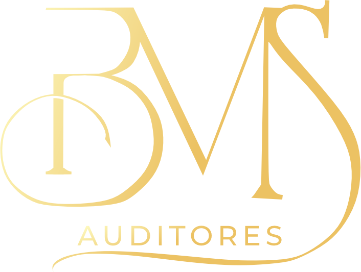 BMS AUDITORES