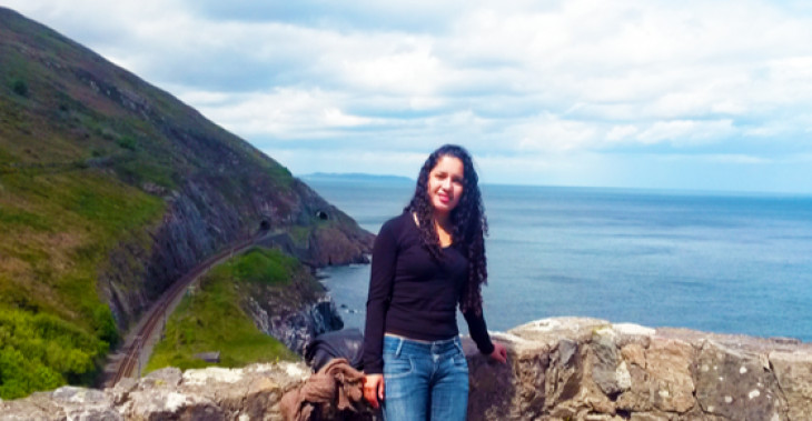 intercambio em dublin