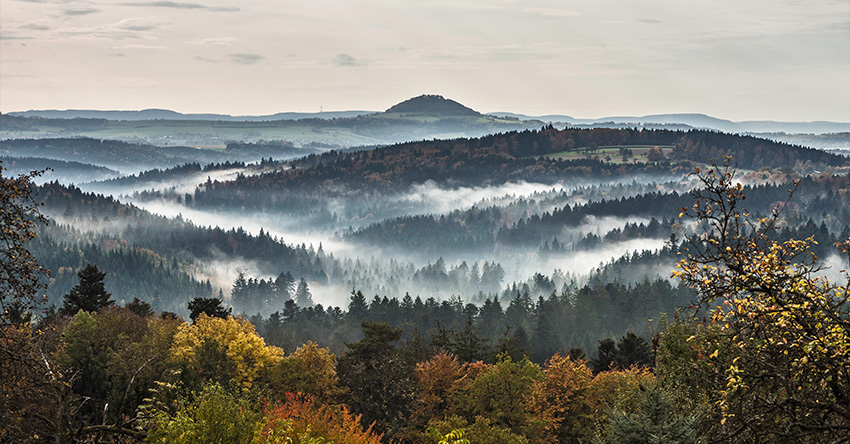 Paisagem da Majestosa e Nevuosa Floresta Negra