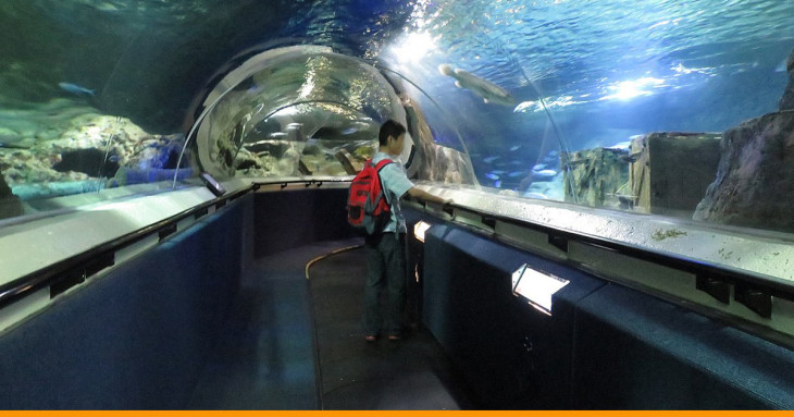 aquário do underwater world em Auckland