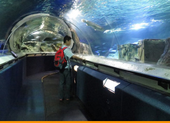 aquário do underwater world em Auckland