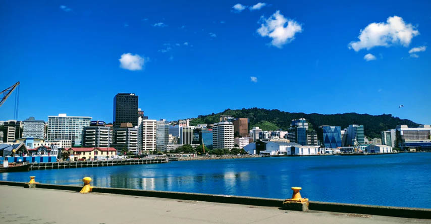 baia de wellington nova zelandia
