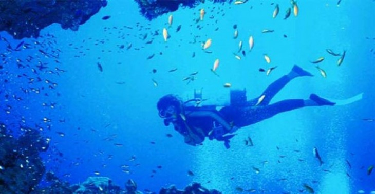 Mergulhar em Cape Town