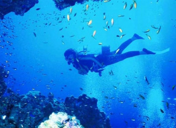 Mergulhar em Cape Town