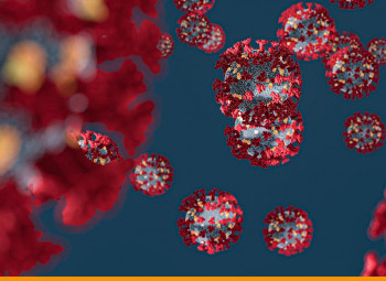 Coronavirus Intercambio
