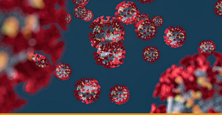 Coronavirus Intercambio