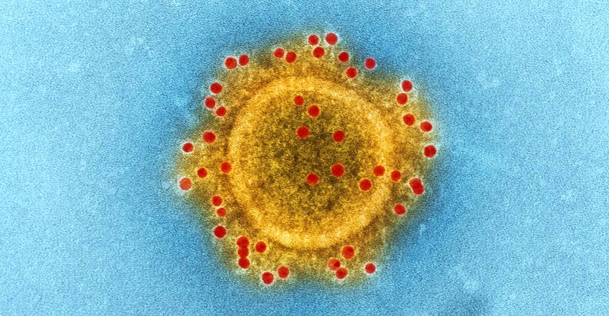 coronavírus visto por meio de um microscópio