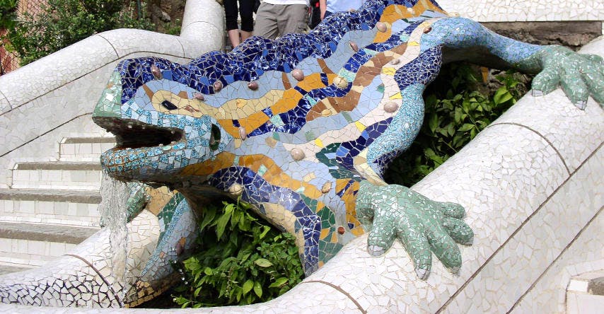 salamandra em barcelona