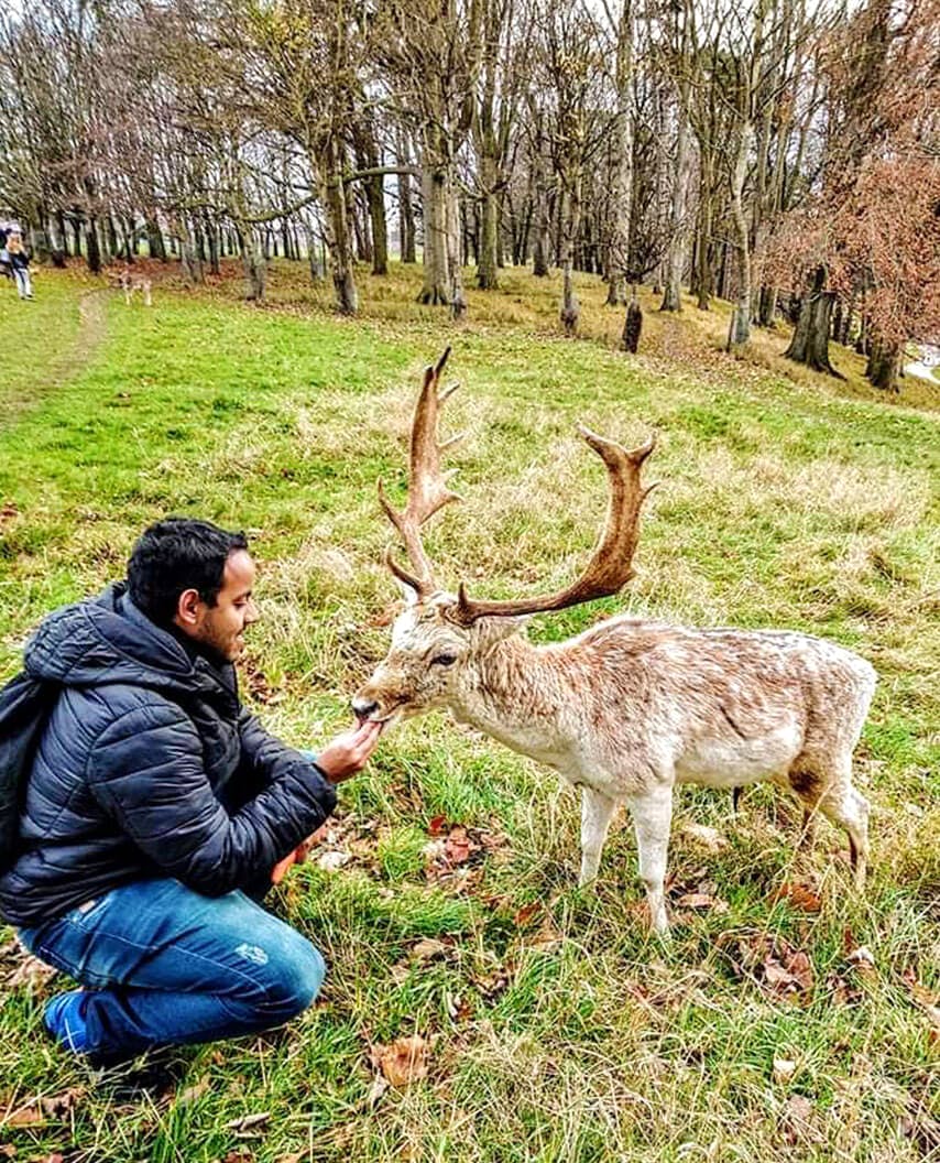 homem alimentando um animal silvestre