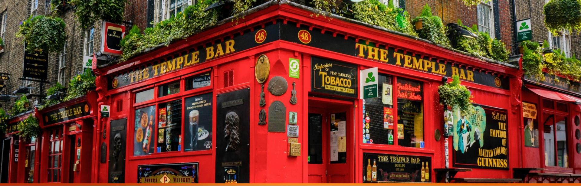 promoção intercâmbio dublin