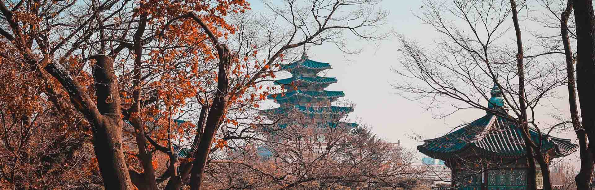 Imagem de um templo Coreano sobreposto por árvores no outono