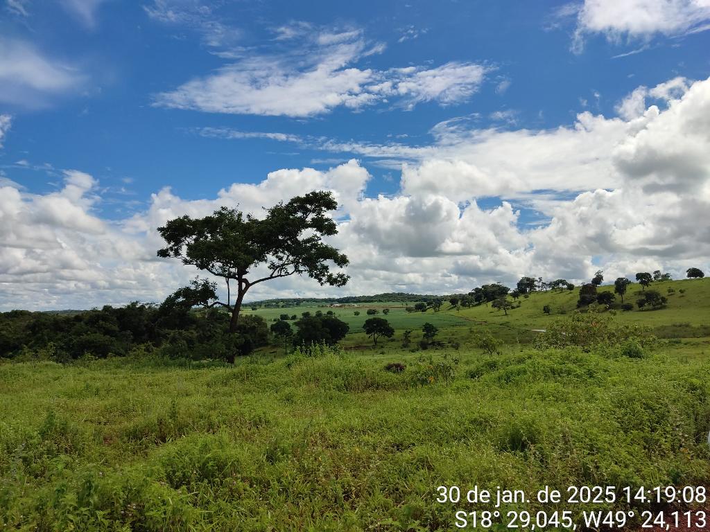 Fazenda_Venda
