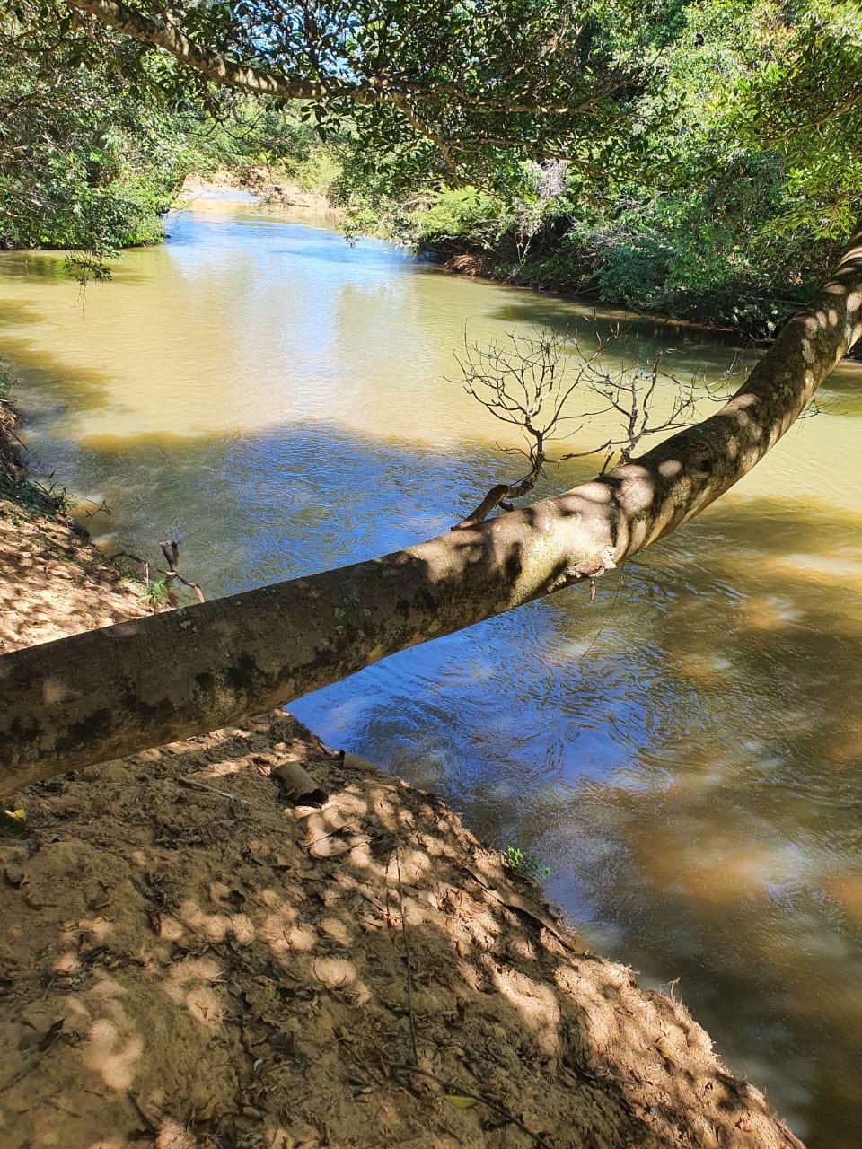 Fazenda_Venda