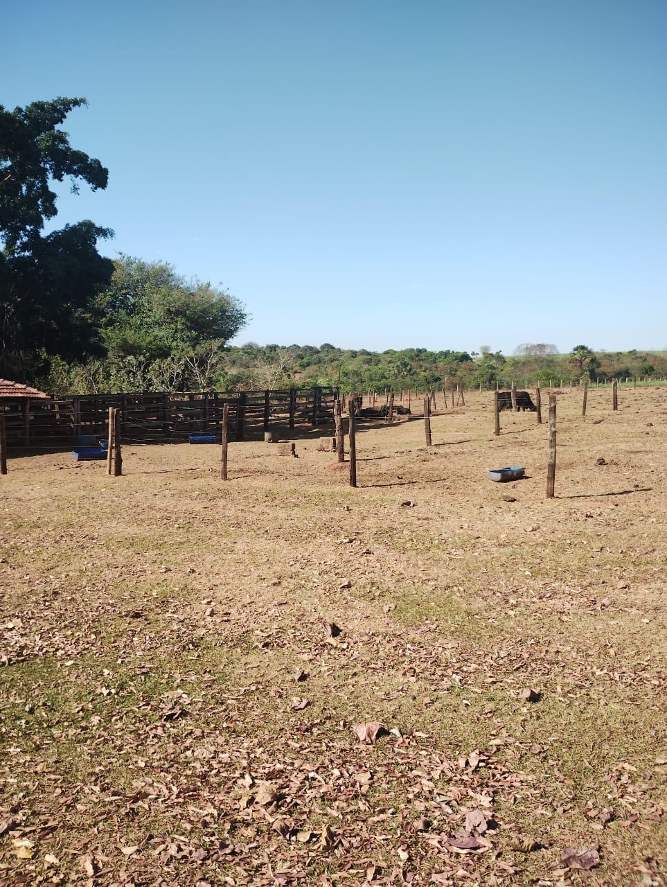 Fazenda_Venda