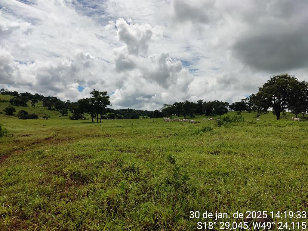 Fazenda_Venda
