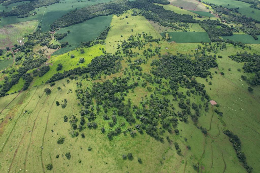 Fazenda_Venda