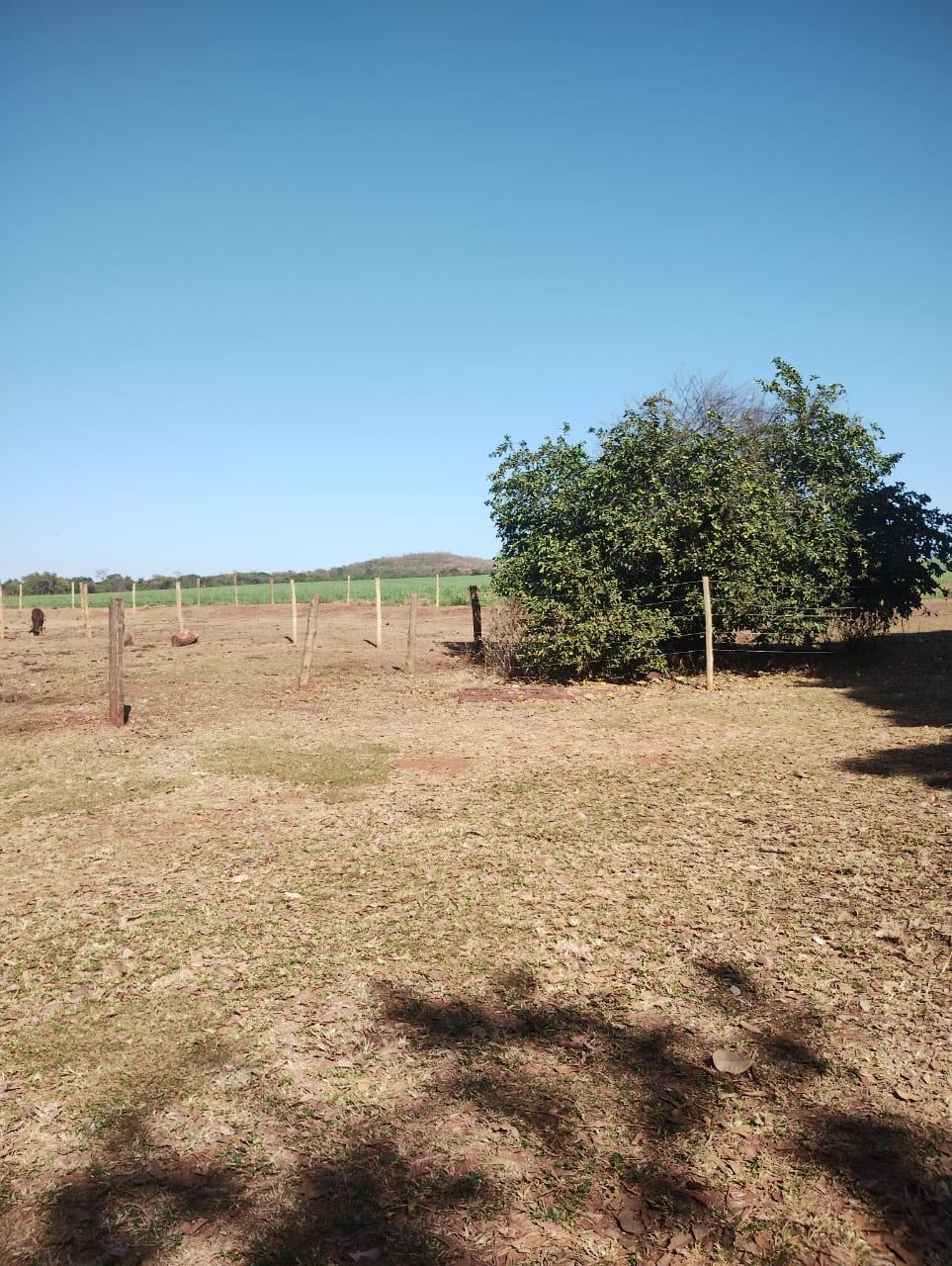 Fazenda_Venda