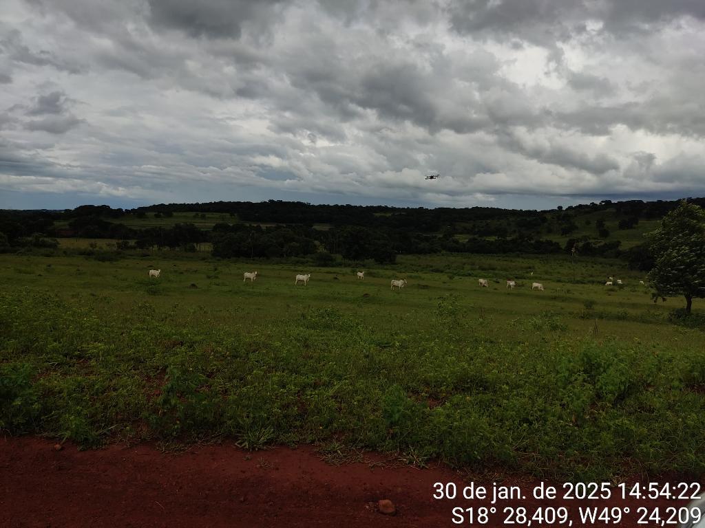 Fazenda_Venda