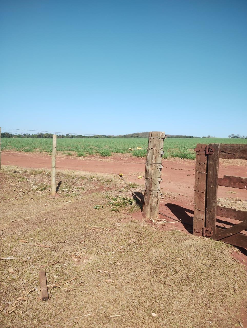 Fazenda_Venda