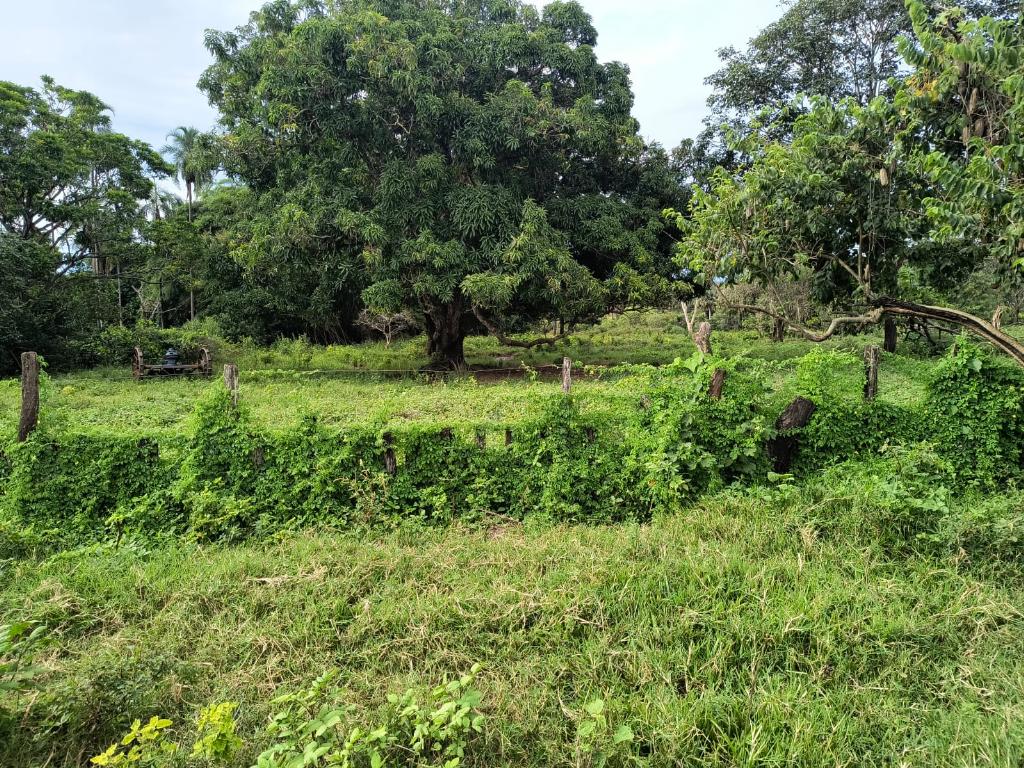 Fazenda_Venda