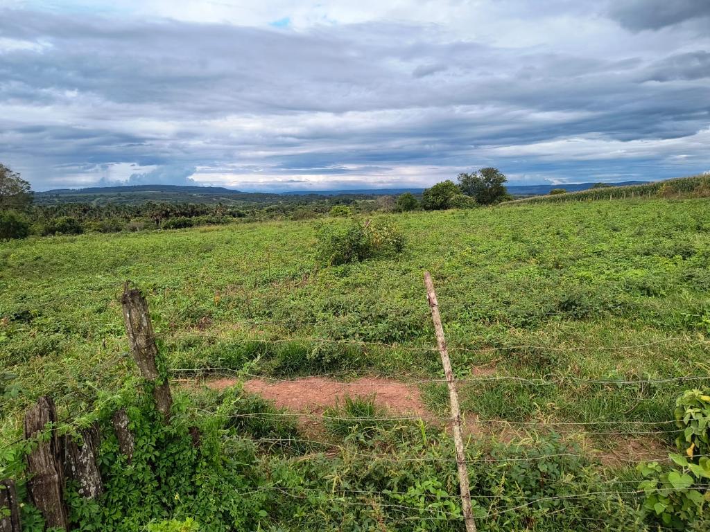 Fazenda_Venda