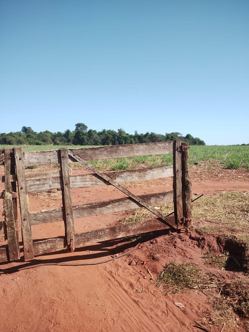 Fazenda_Venda