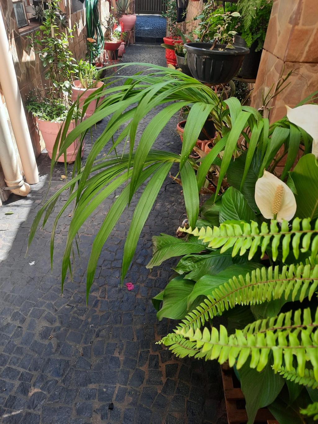 Casa_Venda