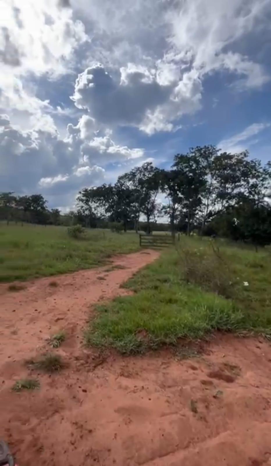 Fazenda_Venda