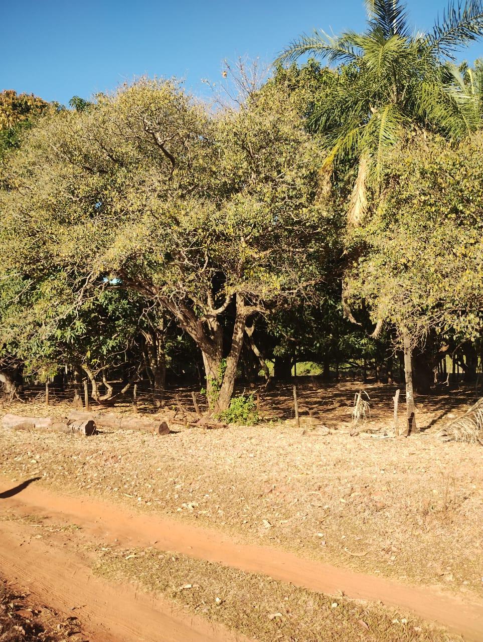 Fazenda_Venda