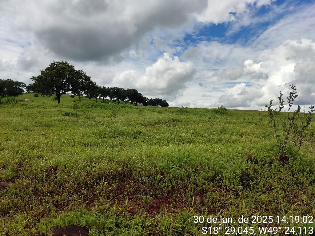 Fazenda_Venda