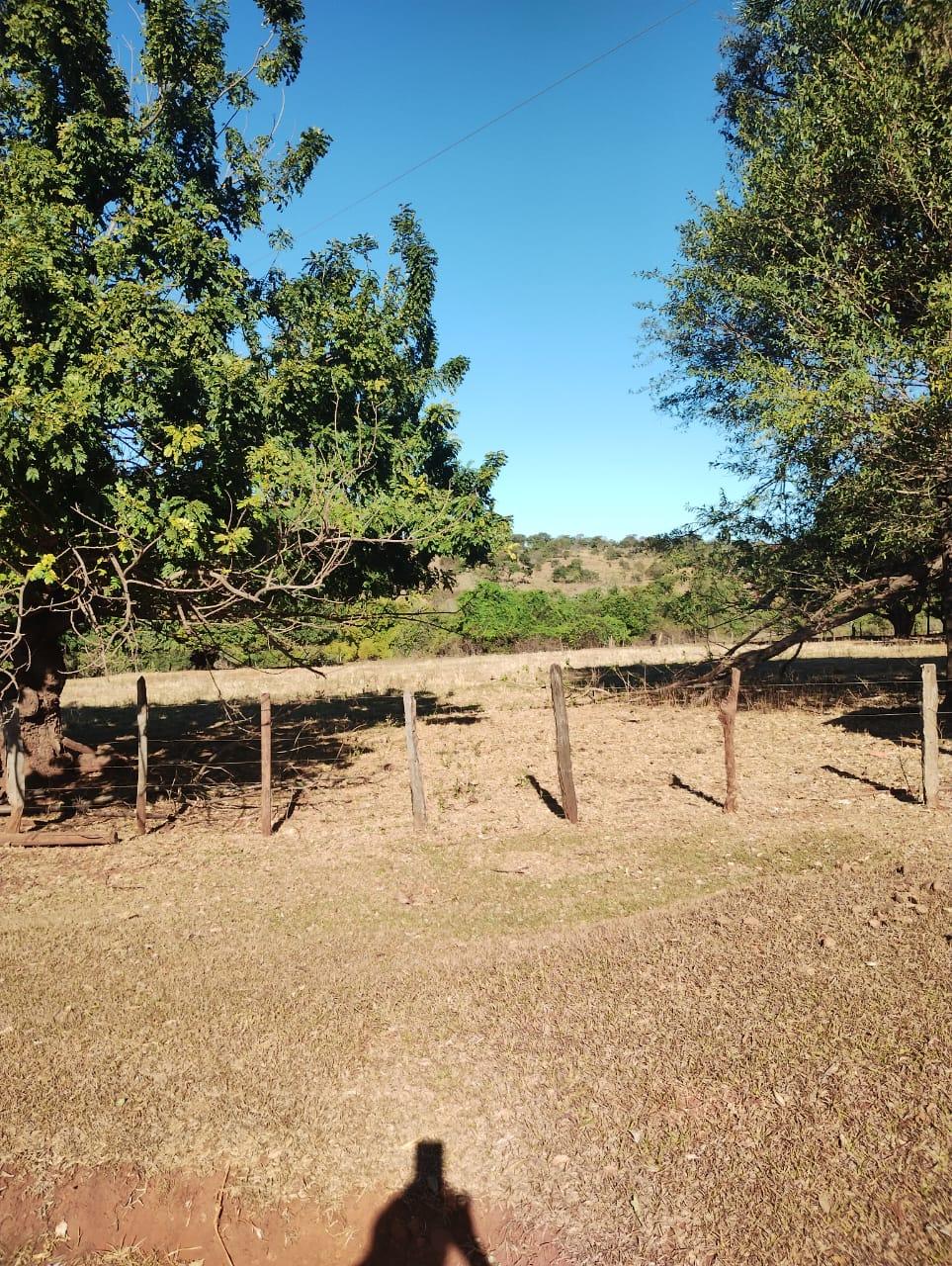 Fazenda_Venda