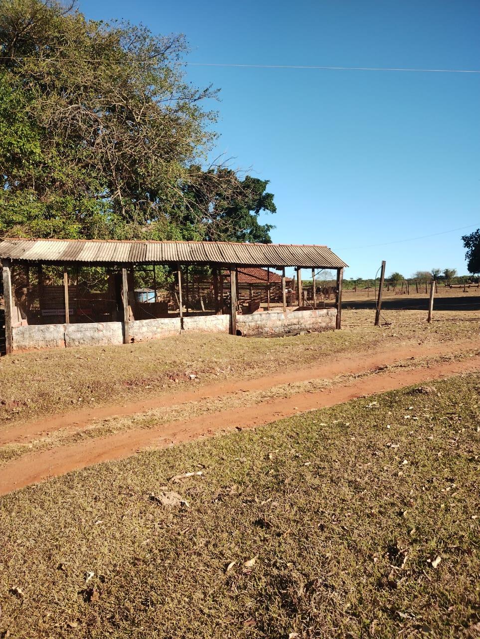 Fazenda_Venda