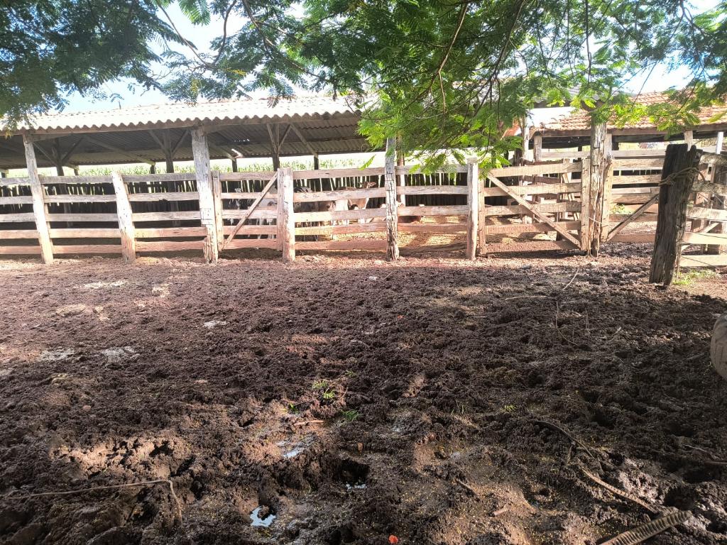 Fazenda_Venda