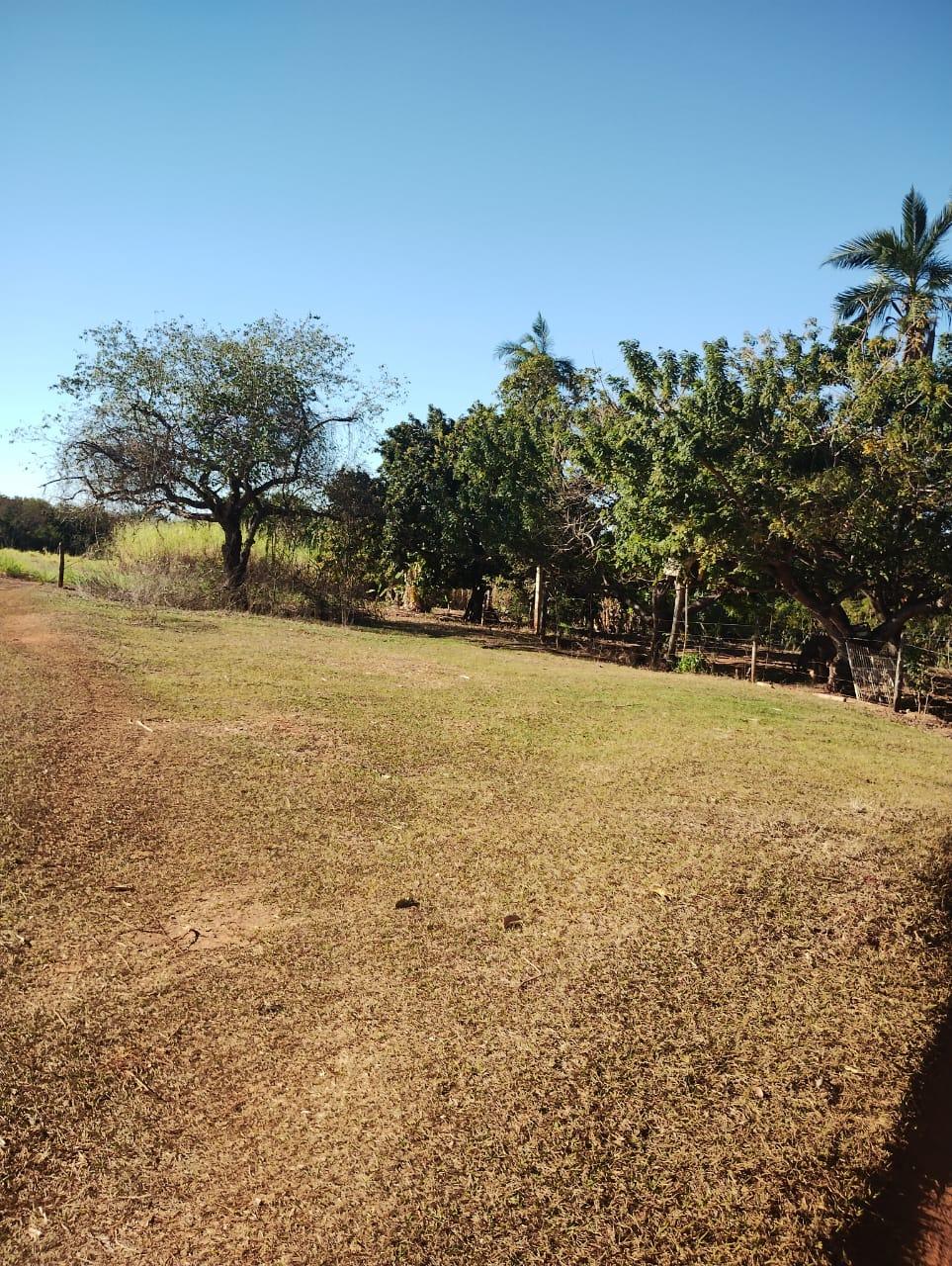 Fazenda_Venda
