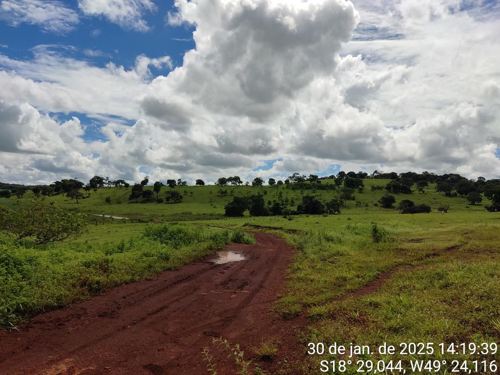 Fazenda_Venda