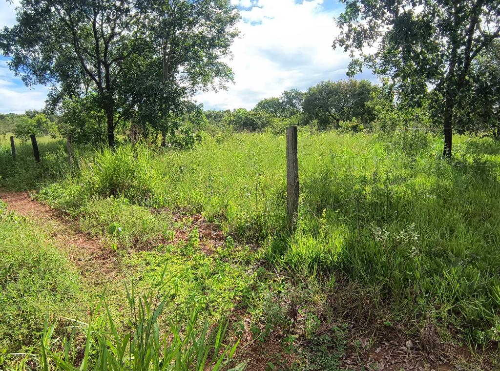 Fazenda_Venda