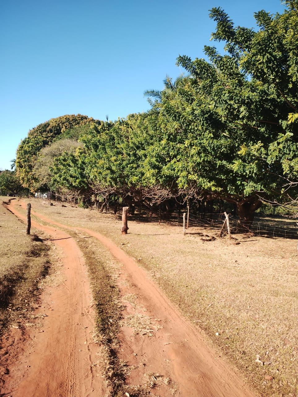 Fazenda_Venda