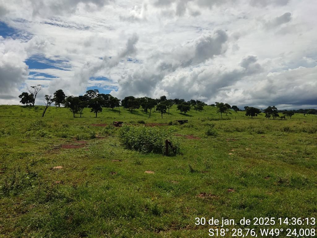 Fazenda_Venda