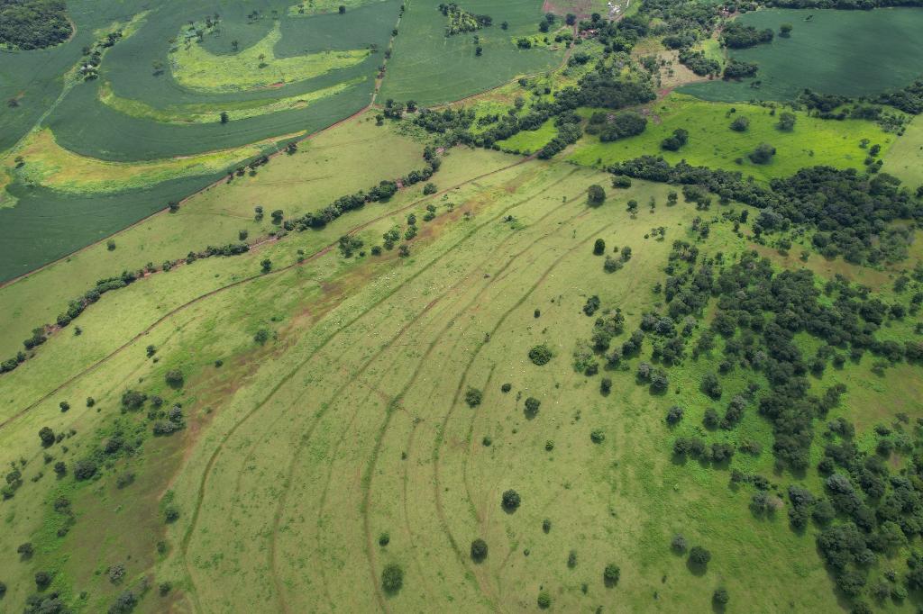 Fazenda_Venda