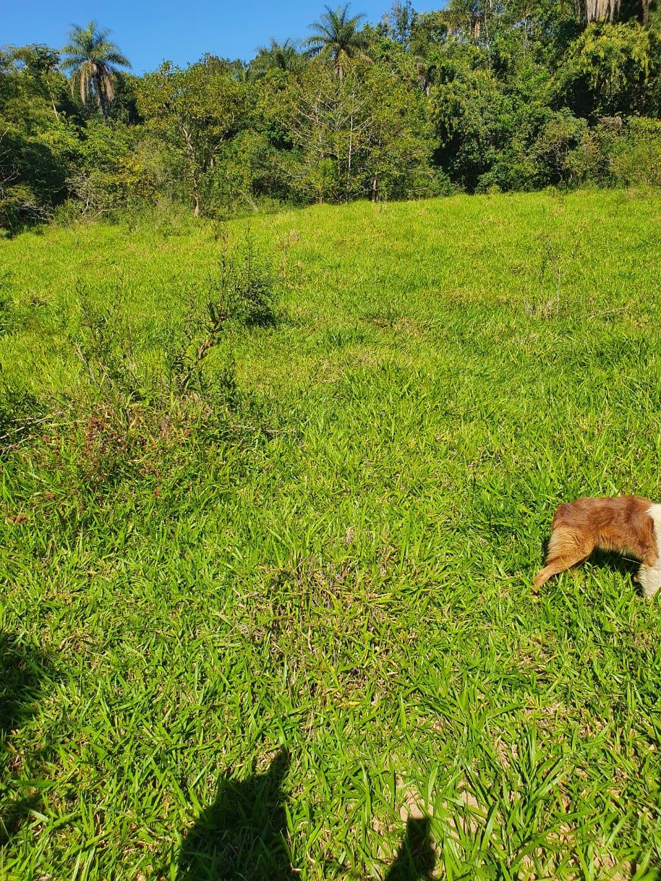 Fazenda_Venda