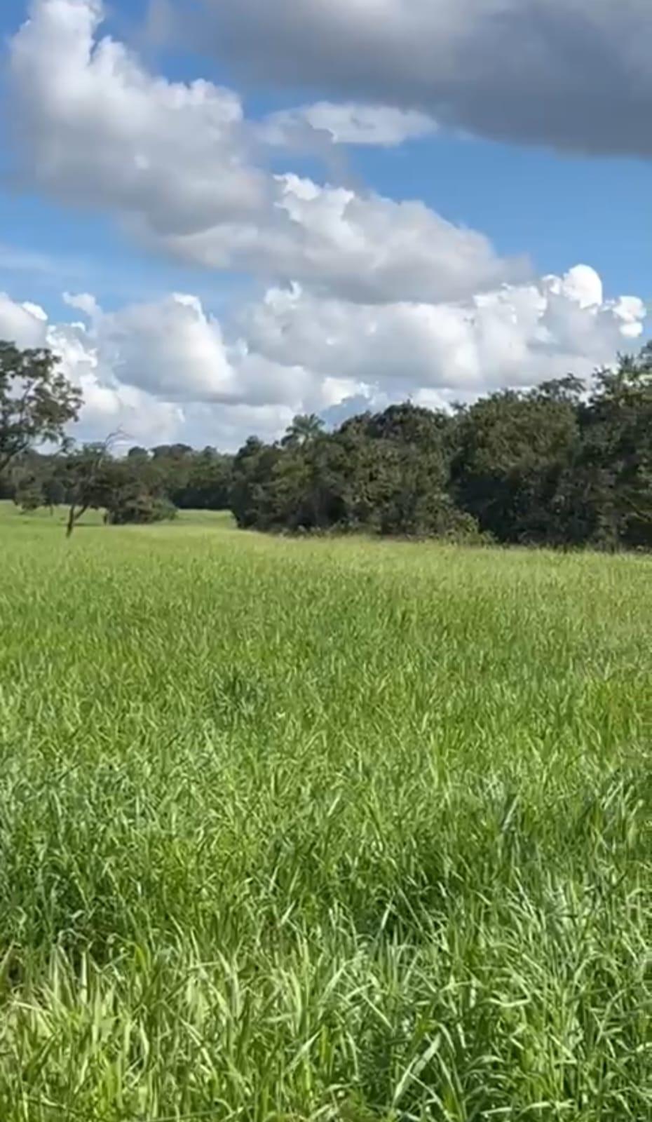 Fazenda_Venda