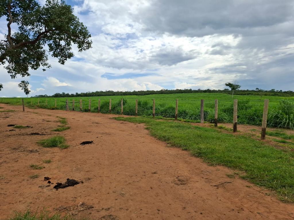 Fazenda_Venda