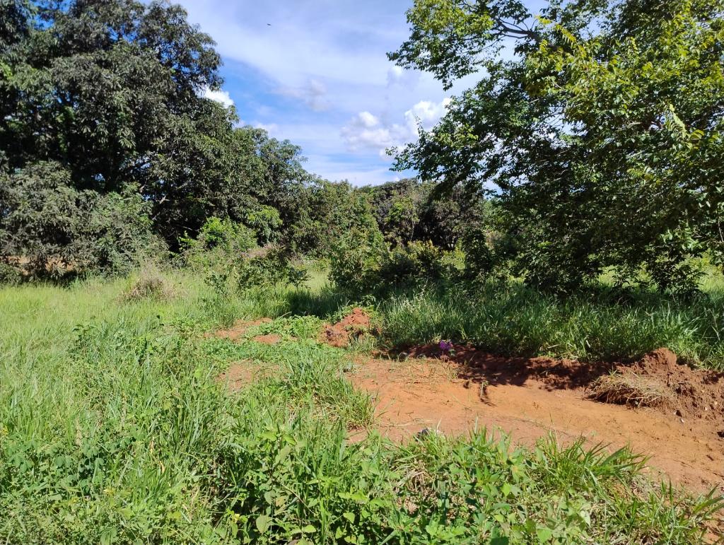 Chácara_Venda