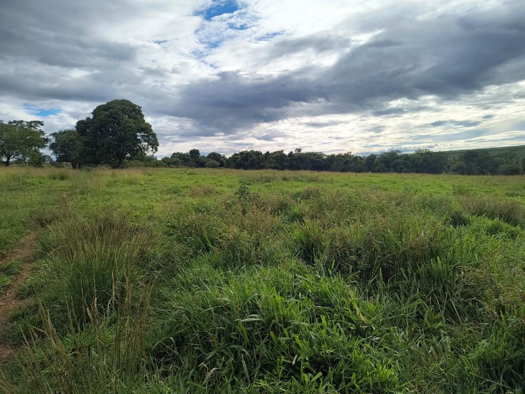 Fazenda_Venda